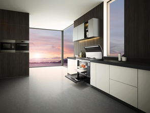 廚衛(wèi)新寵集成灶 究竟有何魅力，趕緊先睹為快