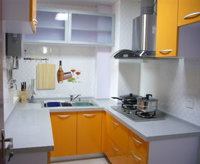 保養(yǎng)秘籍 輕松實(shí)現(xiàn)廚衛(wèi)家電“大護(hù)法”，廚房家電維修全攻略